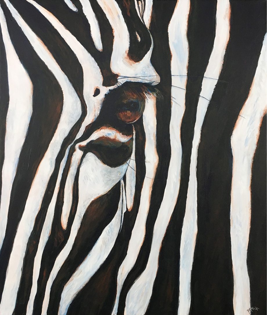Zebra I by Pamela Heck (Acrylic Painting)