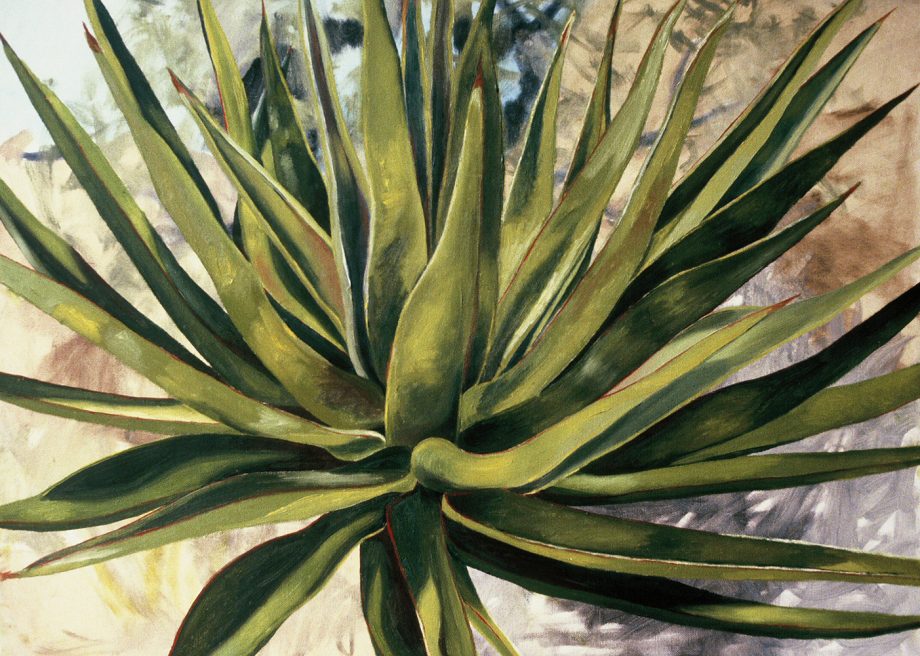 Cactus by Rebecca Gabriel (Oil Painting) | American Artwork