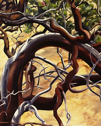 Manzanita by Rebecca Gabriel (Giclée Print on Canvas) | American Artwork