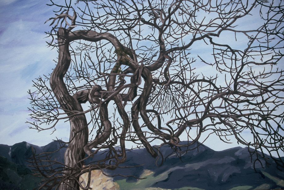White Oak by Rebecca Gabriel (Oil Painting) | American Artwork